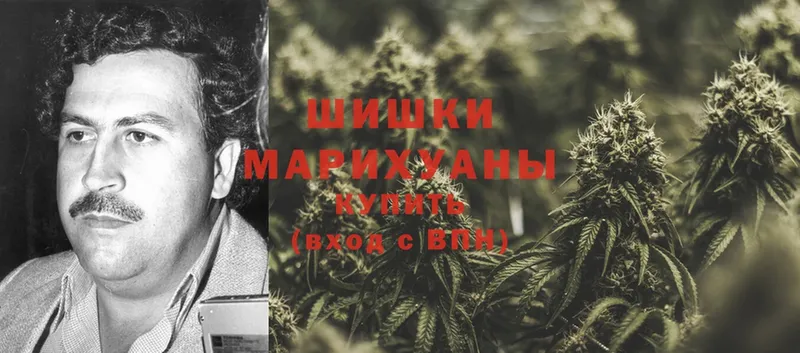 OMG tor  это наркотические препараты  Каннабис White Widow  Богородицк 